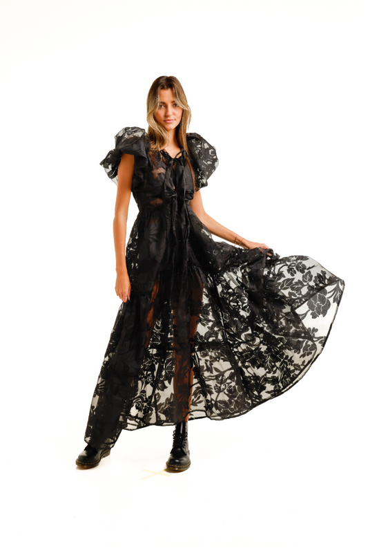 Organza  Dress